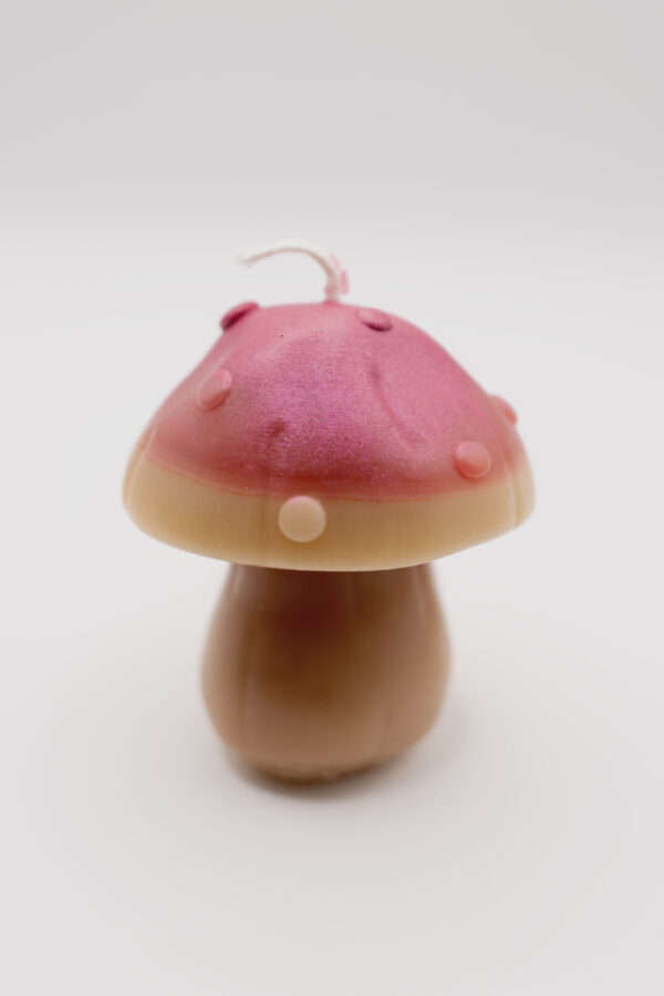 3 Mushrooms Beeswax Candles - Image 8