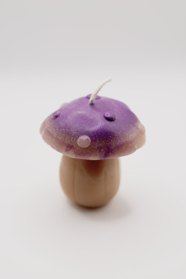 3 Mushrooms Beeswax Candles - Image 7