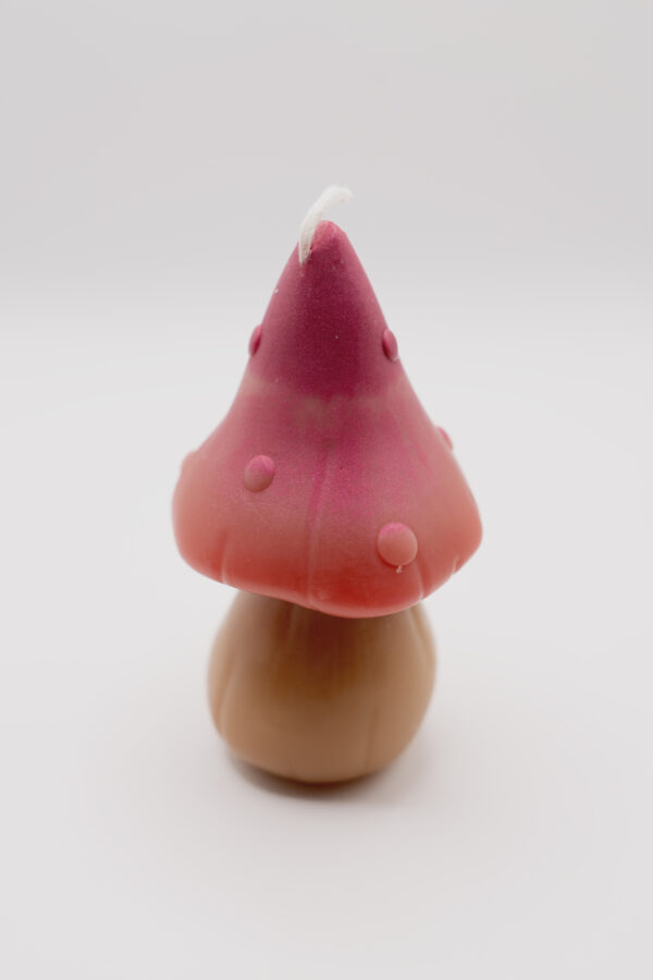 3 Mushrooms Beeswax Candles - Image 5