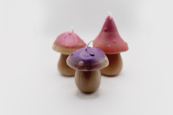 3 Mushrooms Beeswax Candles