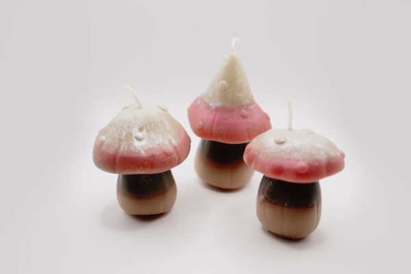 3 Mushrooms Beeswax Candles - Image 3