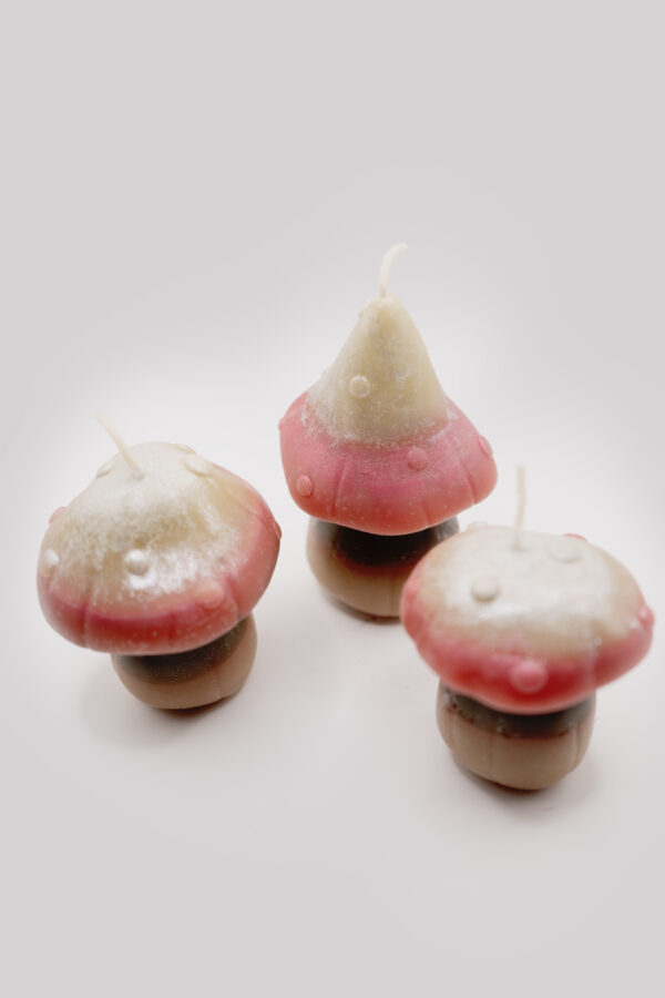 3 Mushrooms Beeswax Candles - Image 2